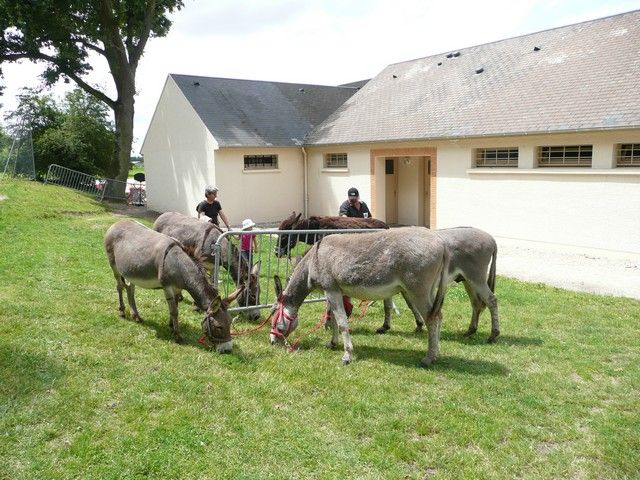 Le Parc 19 juillet 2012 (1).jpg